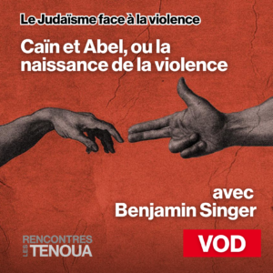 VOD - Caïn et Abel ou la naissance de la violence - location 72 heures